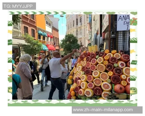 巴黎与伊斯坦布尔的文化交融与历史碰撞探秘之旅